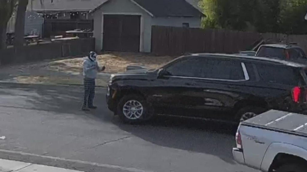 Woodland police dispute DHS account of ICE agent's collision with pedestrian — CBS Bay Area (KPIX), Larkspur Health news