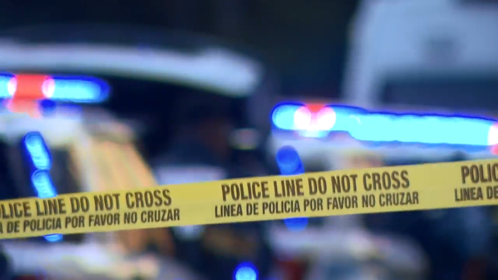 Man accused of stabbing, killing his own mother in Tamarac, BSO says — CBS Miami, Larkspur Health news