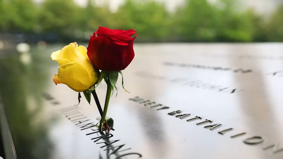 Second 9/11 victim identified with breakthrough genetic genealogy, NYC officials say
— ABC 7 Bay Area, Larkspur Community news