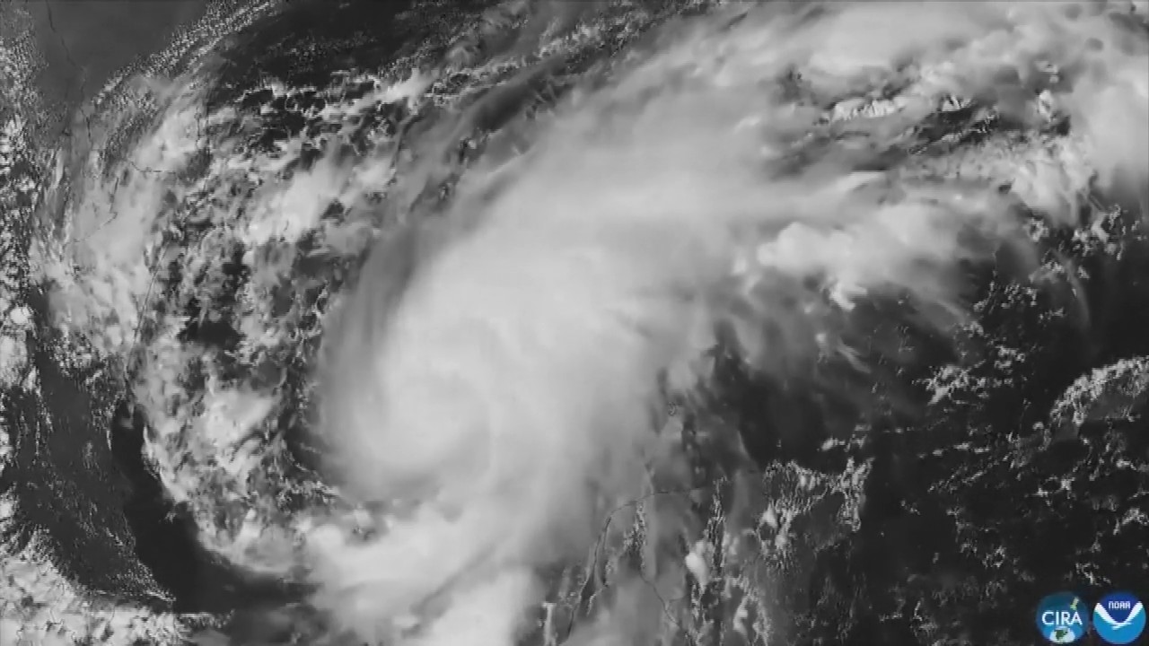 Hurricane Isaias: Residents board up windows and National Guard troops deploy as storm nears US Gulf Coast
— ABC 7 Bay Area, Larkspur Sports news