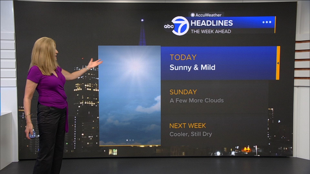 AccuWeather Forecast: Sunny and mild
— ABC 7 Bay Area, Larkspur Community news