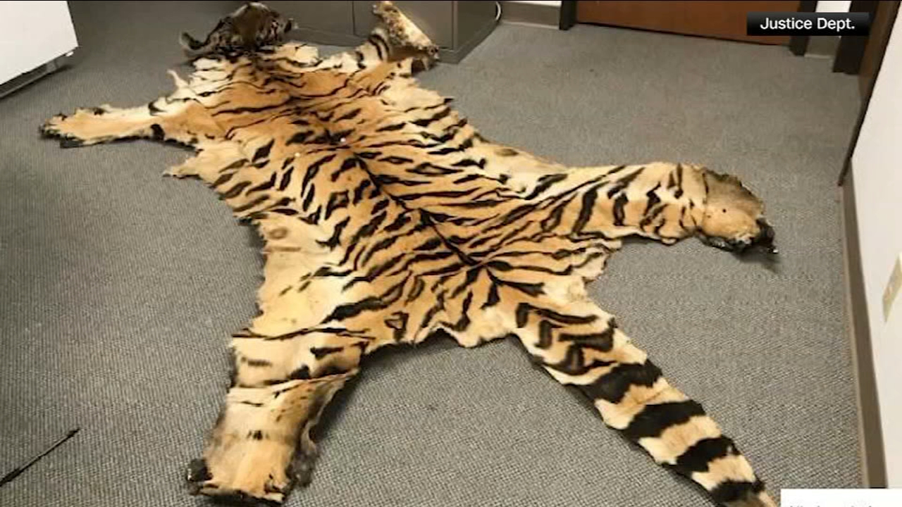 California couple pleads guilty to trafficking wildlife
       — Larkspur Community news