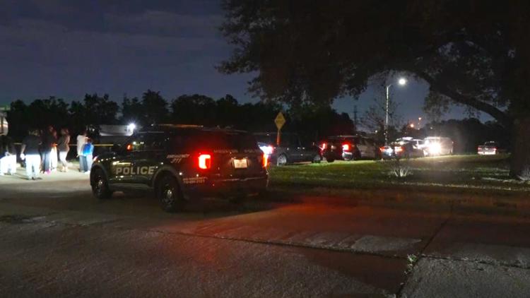 HPD: Man dies after going for swim in Sims Bayou in southeast Houston — KHOU 11 (Houston), Larkspur Sports news