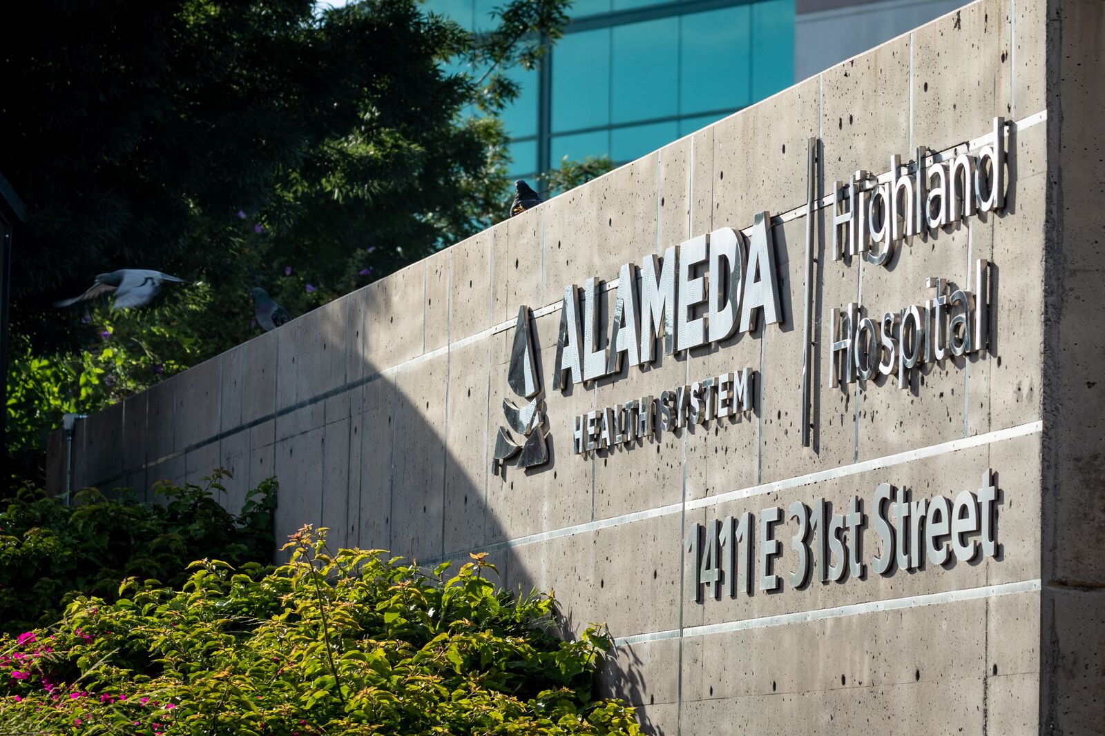 ICE showed no warrant when they took Highland Hospital patient, officials say โ The Oaklandside