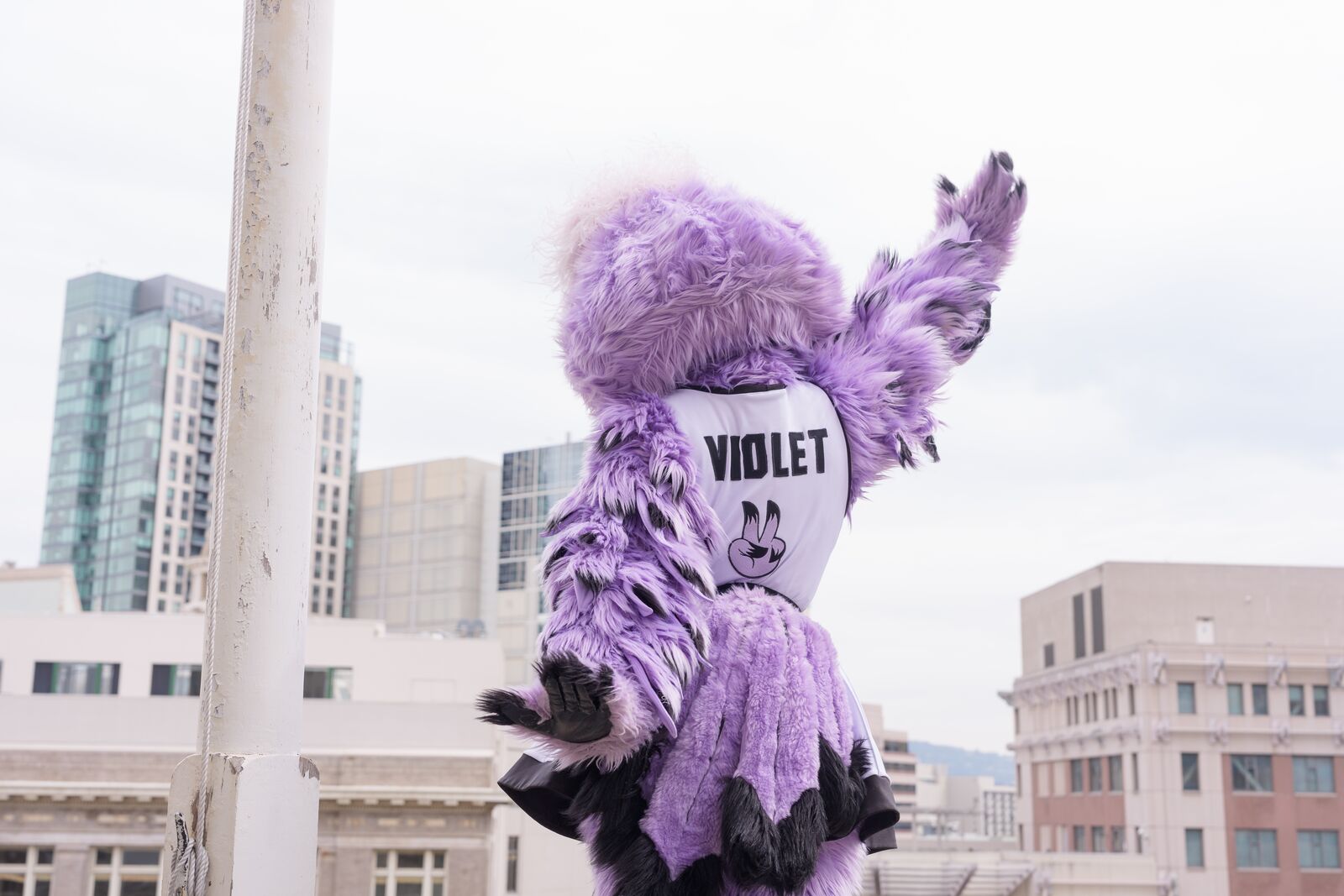 This week in Oakland: an outdoor Valkyries watch party, and singersongwriter Laura Anglade at Yoshi’s — The Oaklandside, Larkspur Arts news