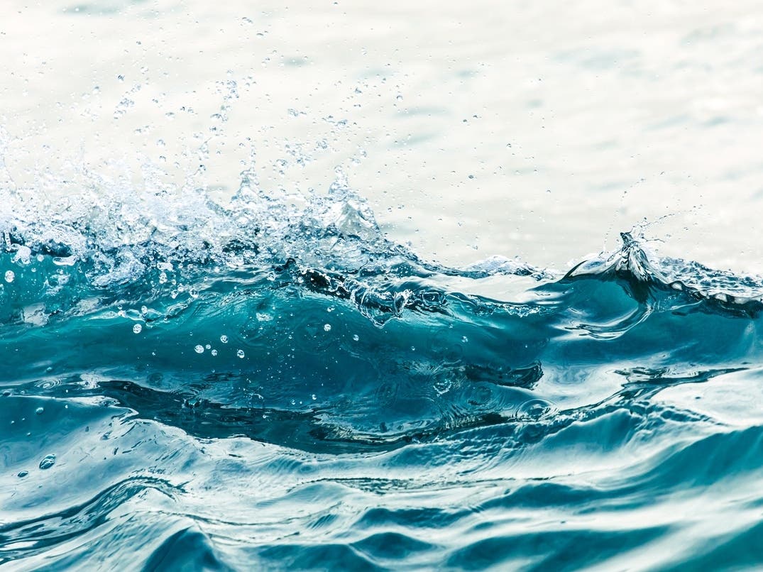 Deadly Hostage Standoff Details | Kelvin Wave Brings Record Sea Levels: Patch PM — San Francisco Patch, Larkspur Community news