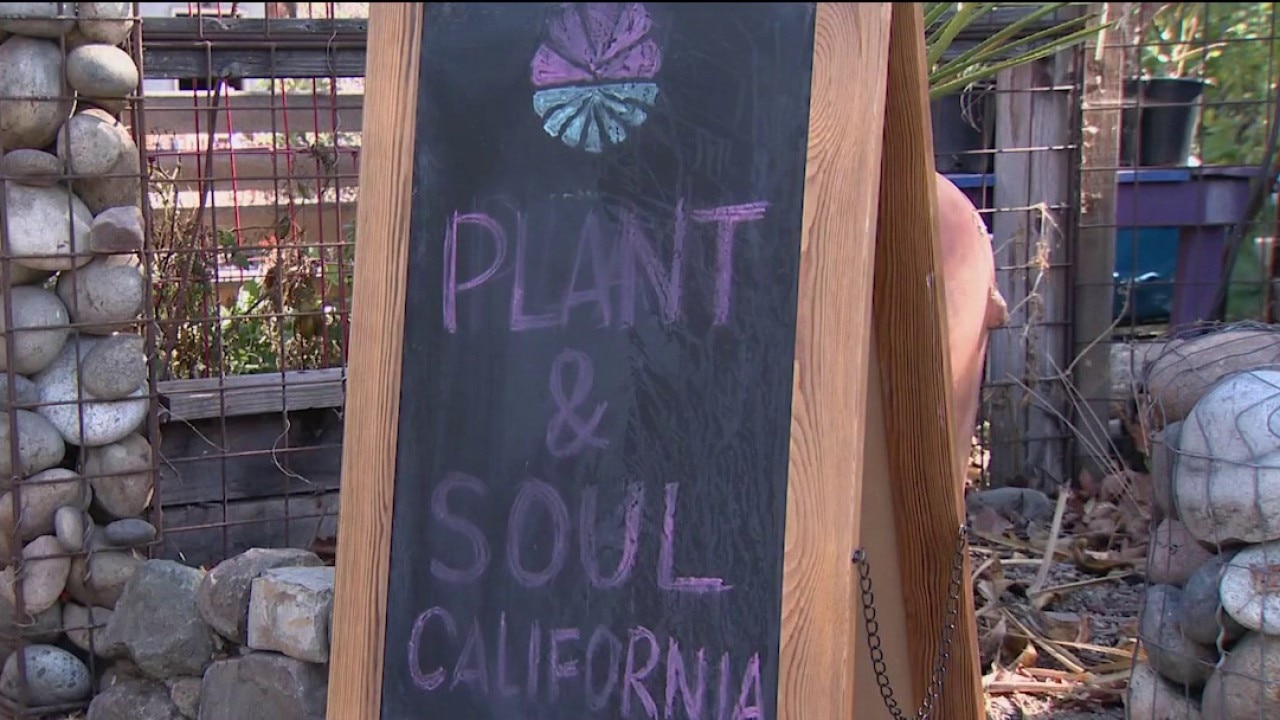 San Jose community garden faces possible eviction — KTVU FOX 2 Bay Area, Larkspur Schools news
