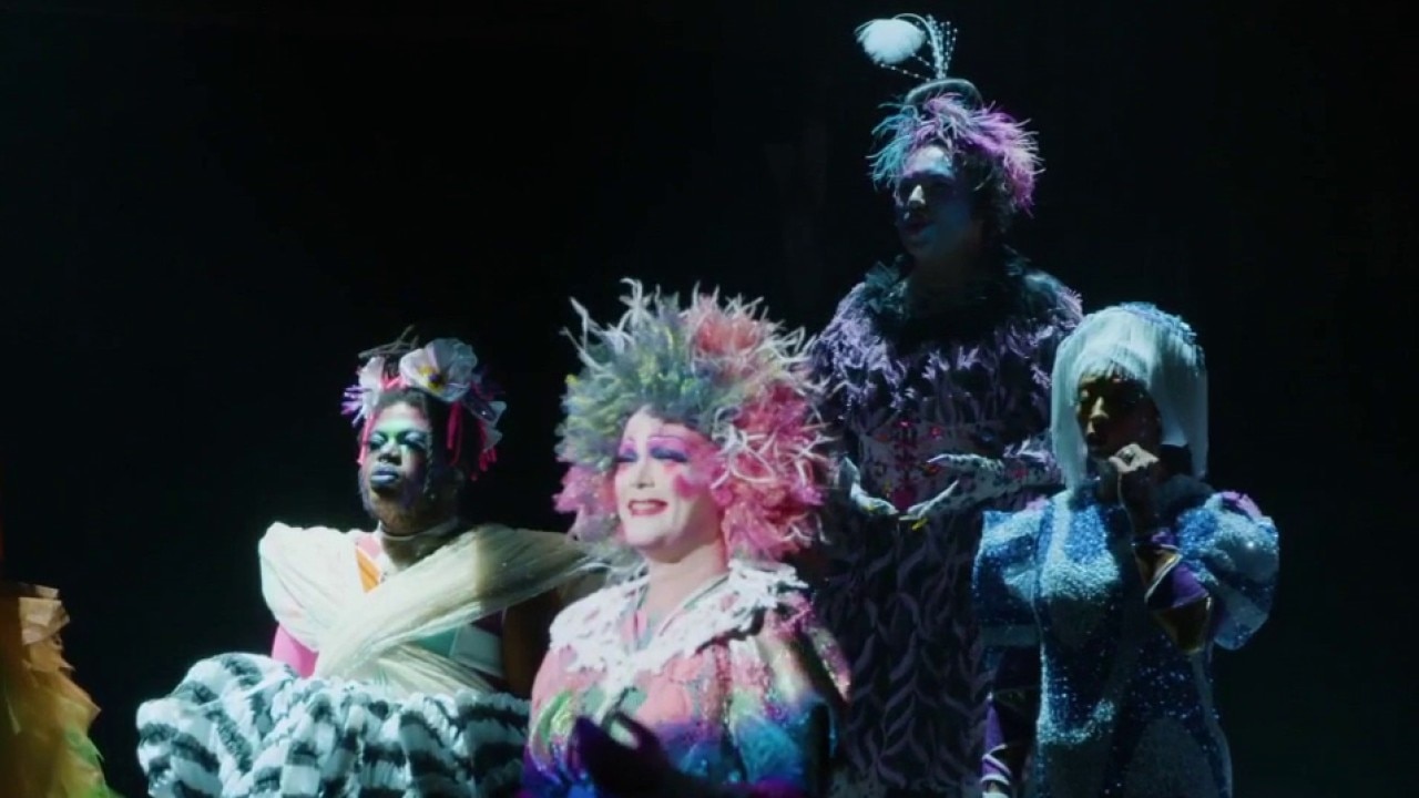 Taylor Mac returns to San Francisco with 'Bark of Millions' — Larkspur Arts news