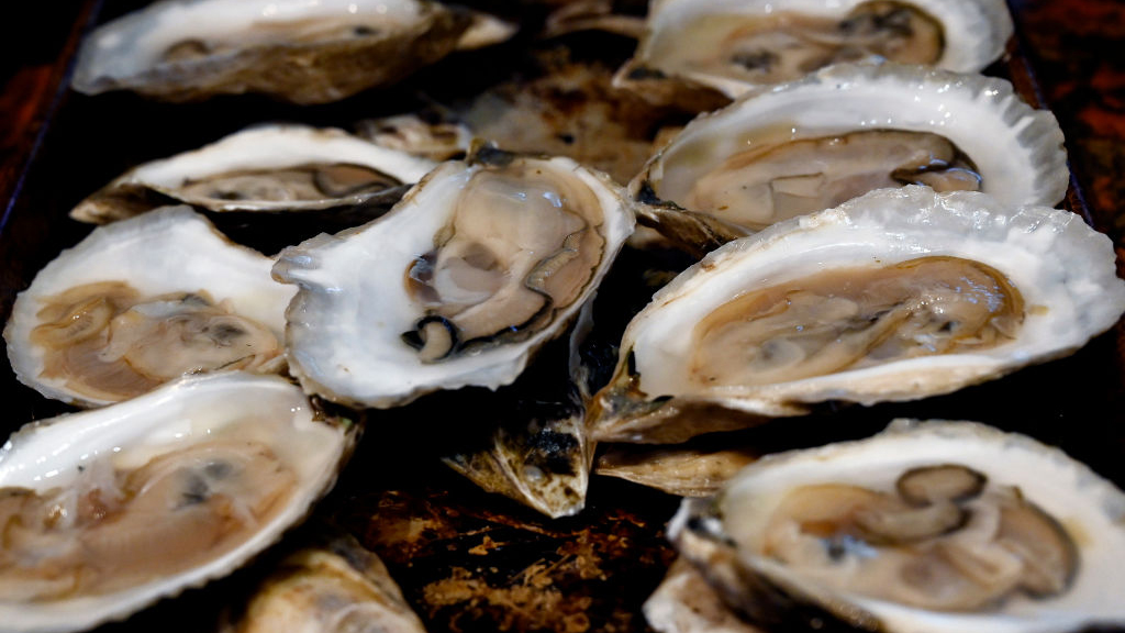 Sewage leak temporarily halts Tomales Bay oyster harvest — KTVU FOX 2 Bay Area, Larkspur Business news