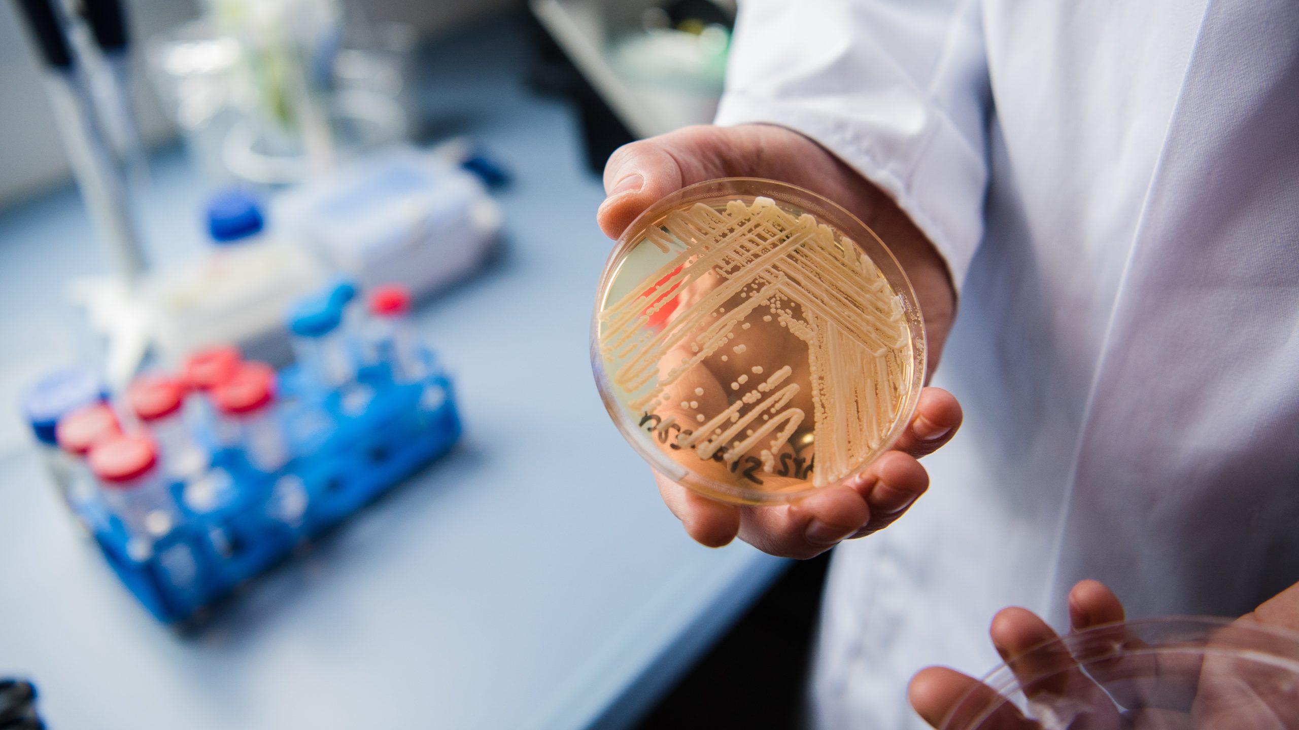 New study reveals why dangerous fungus is so difficult to treat — KTVU FOX 2 Bay Area, Larkspur Community news