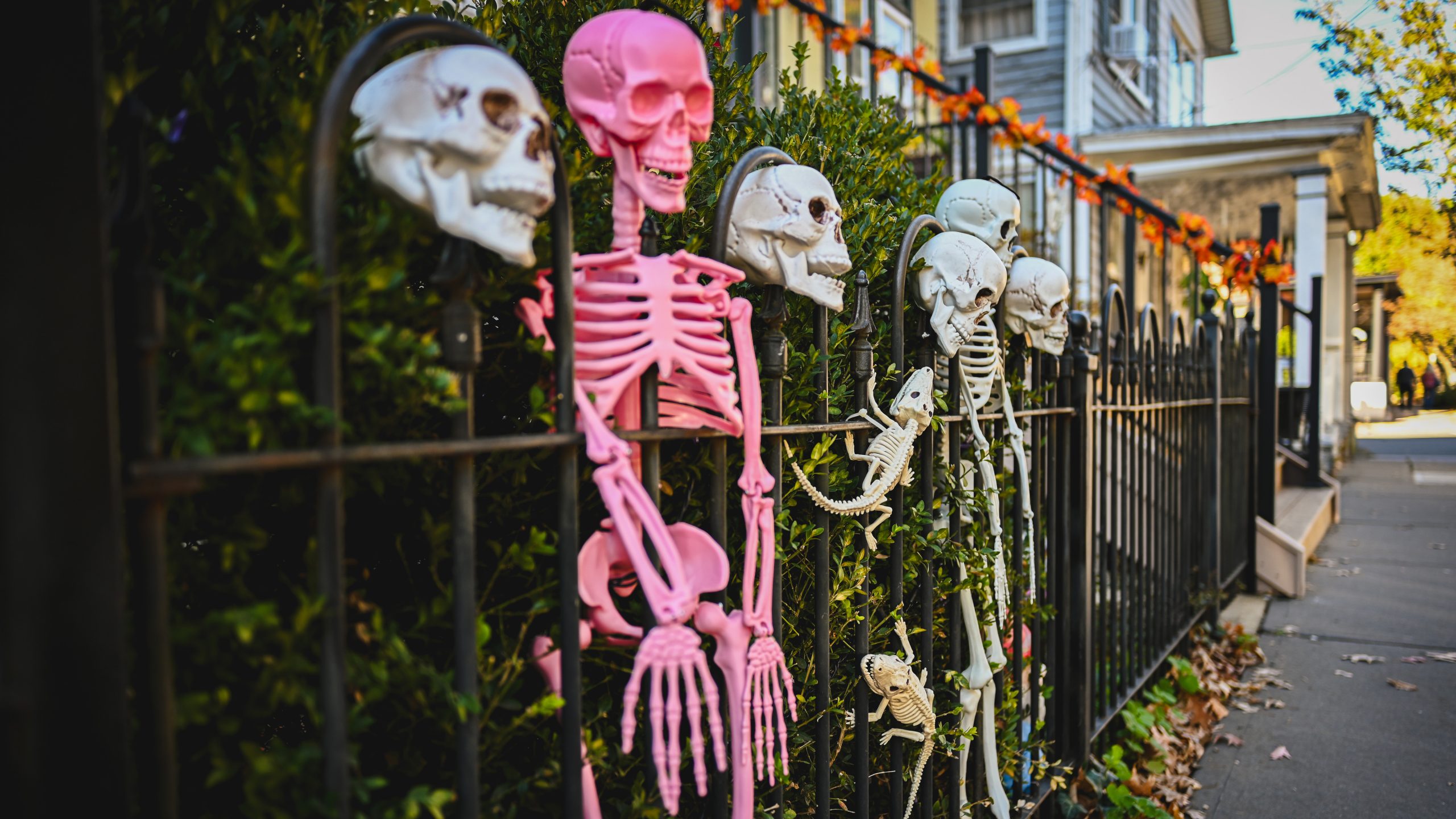 America's best cities for Halloween, ranked — KTVU FOX 2 Bay Area, Larkspur Community news